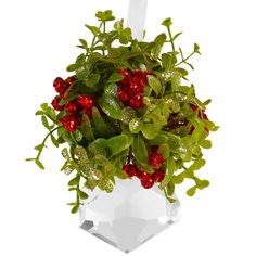 a potted plant with red berries and green leaves in it's hanging container