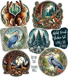 four different colored plates with animals and trees in the middle one has a bird on it