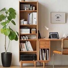 a room with a desk, chair and bookshelf next to a potted plant