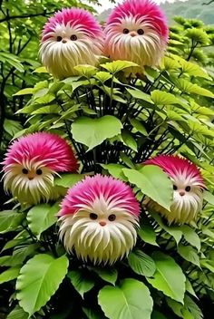 pink and white flowers with green leaves in the foreground, surrounded by greenery