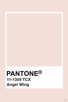 pantone's 11 - 130 tcx angel wing is shown in the color pink