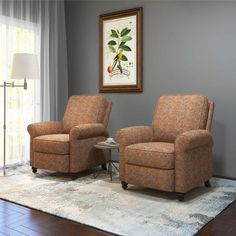 a living room with two chairs and a rug