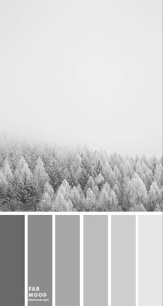 a black and white photo with trees in the background that has been converted into a color scheme