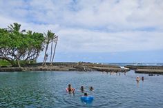 people are swimming in the ocean near palm trees