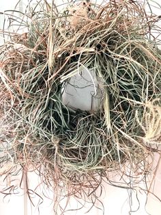 a bird nest with a soccer ball in it's center surrounded by grass and twigs