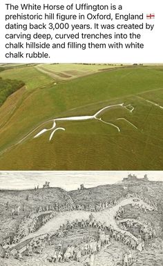 the white horse of suffolk is a drawing back 3, 000 years it was created by carving deep, curved trenchs into the chalk fields and filling them with white chalk