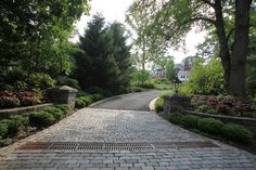 a brick walkway leads to a driveway surrounded by greenery and trees on both sides