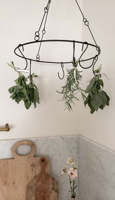 a potted plant hanging from a rack in a kitchen next to a cutting board