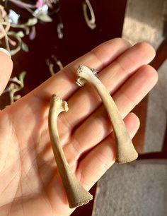 Unique handmade bone earrings. Foraged small animals bones. Rib bones. Stud earrings. Unique Bone-colored Nickel-free Earrings, Bone Crafts, Bone Earrings, Bone Horn, Animal Bones, Small Animals, Nature Jewelry, Jewelry Earrings Studs, Small Pets