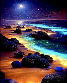 an image of the ocean at night with stars in the sky and rocks on the beach