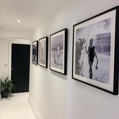 three black and white photographs hang on the wall next to a plant in a vase