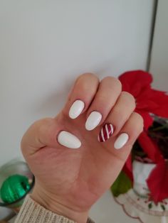 White polished fingernails with one candy cane striped nail Winter Nails Candy Cane, White Nails With Candy Cane Accent, Simple Candy Cane Nails, Simple Christmas Nails Red And White, Christmas Nails Candy Cane Stripes, Christmas Nails Oval Shape, White Candy Cane Nails, Christmas Nail Inspo Short, Christmas Nails Basic