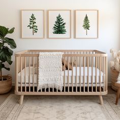 a baby's crib with three paintings on the wall