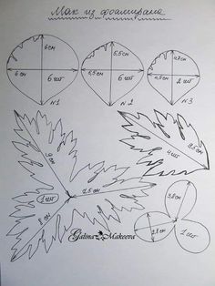 the diagram shows how to draw leaves in different directions, with numbers and letters on them