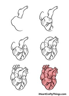 four different types of heart shapes