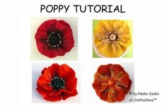 four different types of poppys with the words poppy tutor written below them in black and white