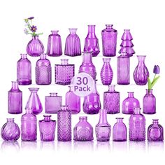 a large collection of purple glass vases with flowers in them on a white background