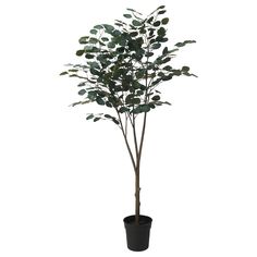 FEJKA artificial potted plant, indoor/outdoor eucalyptus, 7 ½ ". This artificial potted plant is made with mostly recycled plastic and requires no green thumbs. Perfect to place on the shelf, floor or table. So realistic that you will fool everyone. Leaf: 100 % polyester (100% recycled). Ikea Eucalyptus, Eucalyptus Decor, Ikea Food, Plant Indoor, Household Plants, Outdoor Bedroom, Planta Artificial, Artificial Potted Plants, Floor Plants