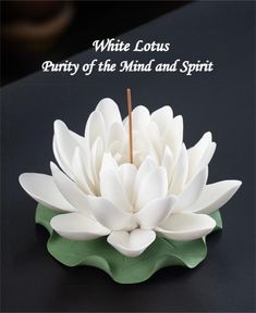 a white lotus flower sitting on top of a green leafy plant with the words, white lotus beauty of the mind and spirit