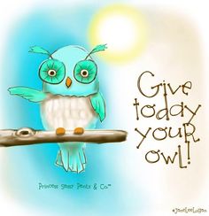 an owl sitting on a branch with the words give today your owl