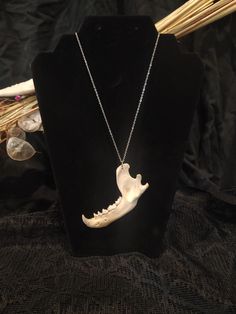 Real small animal bone necklace. Real, ethically sourced small animal bone necklace. A unique and gothic piece of jewelry. Made with silver colored metal alloy. Not one necklace is ever the same! All bones used in my jewelry and art are ethically sourced. No animals were harmed for the making of my jewelry and artwork. Due to the nature of the source, colors of bones can vary and each bone is unique in shape and size.  All bones have been washed and whitened. Please take off necklace if planning on being in the water for best protection. Approx. Chain Length: 24in Unique Bone-colored Sterling Silver Jewelry, Unique Bone Colored Sterling Silver Jewelry, Handmade Sterling Silver Jewelry In Bone Color, Handmade Bone Jewelry For Halloween, Unique Bone-colored Jewelry For Gift, Handmade Bone Color Necklace Gift, Handmade Bone Color Necklace For Gift, Nickel-free Bone Colored Jewelry As Gift, Animal Bone Jewelry