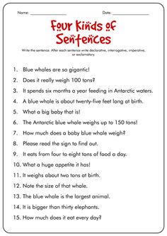 four kinds of sentences worksheet for kids to practice their english speaking skills