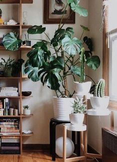 a living room filled with lots of plants and bookshelves next to a window