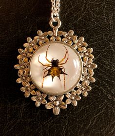 "Its an adult Spiny Orb Weaver spider, centered and encased in clear resin with white backing, mounted on an ornate ring of flowers silver colored setting, hung on a matching 18\" chain. The cameo is such high relief, it looks like the spider is floating! The Cabochon alone is 25mm. Talk about a conversation starter! Why leave your curiosities on the shelf? Take them with you! For more info, updates, and contests, check out my Instagram page @thecuriositeer" Spiny Orb Weaver, Orb Weaver Spider, Orb Weaver, Real Spiders, Ornate Ring, Flowers Real, Vulture Culture, High Relief, Crystal Wand