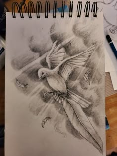 a pencil drawing of a bird flying with its wings spread out and the sky in the background