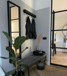 a room with a bench, mirror and coat rack on the wall next to a potted plant