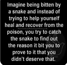 an image with the words imagine being bitten by a snake and instead of trying to help yourself heal and recover from the prison, you try to catch