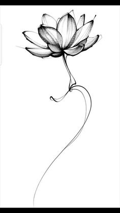 a black and white drawing of a flower