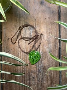 a green heart shaped object sitting on top of a wooden table next to plants and leaves