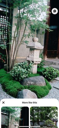 an image of a garden with rocks and plants