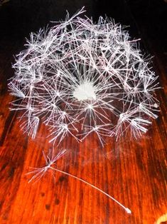 a dandelion sitting on top of a wooden table