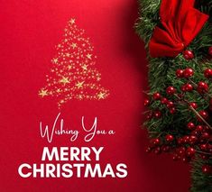 a merry christmas card with a red background