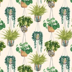 a wallpaper with potted plants and hanging planters