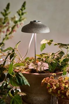 a lamp is sitting on top of a potted plant