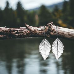 You can't get any closer to nature than this. These earrings were crafted from a birch tree from our surrounding woods. The leaf is preserved and imprinted into the silver, so every one is unique, just as they are in nature. These earrings are sure to be a show piece and are perfect for anyone loving nature and the natural beauty of brilliant gold in the fall. All of my earrings are 99.9% fine silver and dangle on sterling silver ear wires. They come with a pair of clear rubber stoppers to insure your earrings don't go astray.  A bit about my jewelry . . . Each of my creations is carefully and lovingly hand-crafted in my home studio (under the name Natural Inspiration) and takes approximately three days to complete from beginning to end, not including design time. The medium I work with is Nickel-free Leaf-shaped Sterling Silver Earrings, Handmade Leaf-shaped Nature-inspired Earrings, Nickel-free Leaf-shaped Nature-inspired Earrings, Silver Leaf-shaped Handmade Earrings, Hypoallergenic Leaf-shaped Nature-inspired Jewelry, Nature-inspired Hypoallergenic Leaf Earrings, Nature-inspired Sterling Silver Earrings, Nature-inspired Leaf Earrings For Everyday, Silver Nature-inspired Everyday Earrings