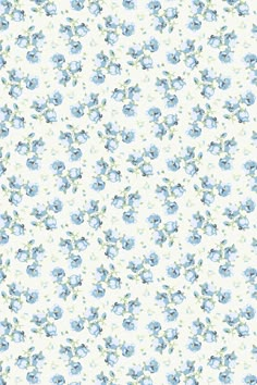 a blue and white floral pattern with small flowers on the bottom half of the image