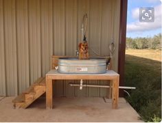 a dog is sitting in an old metal tub on a wooden table outside the building