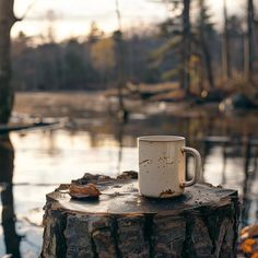 a white coffee cup sitting on top of a tree stump next to a body of water