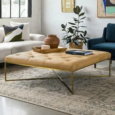 a living room with two couches, a coffee table and a plant in the corner