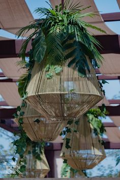 some plants are hanging from the ceiling in front of a wooden pergolated structure