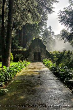 an old stone building in the middle of a forest