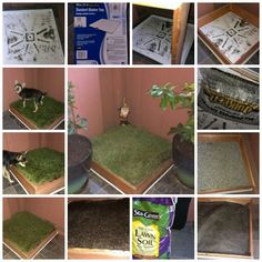 several pictures of different types of plants and animals in their own habitat, including an animal bed