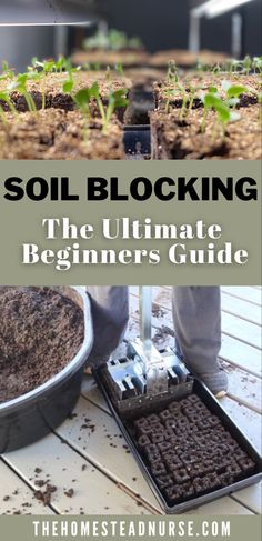 the ultimate beginner's guide to soil blocking for beginners and gardeners