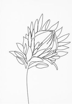 a black and white drawing of a flower