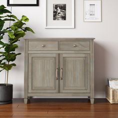 a potted plant sitting on top of a wooden floor next to a gray cabinet