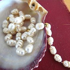 a shell with pearls and a bead necklace sitting on a red velvet surface next to it